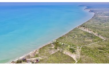 VENTA LOTE FRENTE AL MAR - PLAYA - PALOMINO - DIBULLA