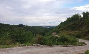 Overlooking 195 Sqm Residential Lot for Sale in Vista Verde Consolacion Cebu with Mountain Views
