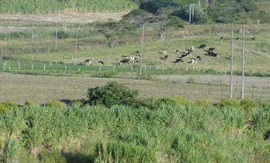 Venta de Hacienda en Ibarra en el sector de Conraqui