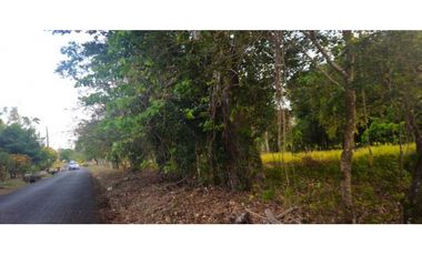VENDO AMPLIO LOTE 3625 M2 ALGARROBOS