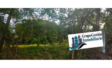 VENDO AMPLIO LOTE 3625 M2 ALGARROBOS