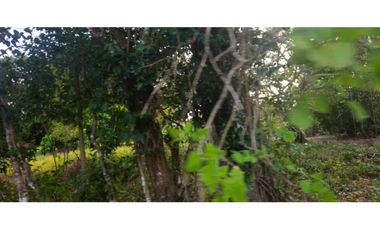 VENDO AMPLIO LOTE 3625 M2 ALGARROBOS