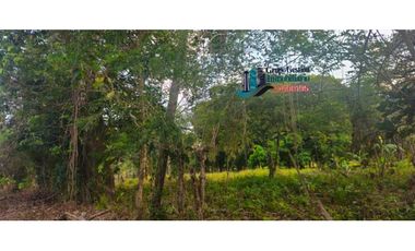 VENDO AMPLIO LOTE 3625 M2 ALGARROBOS