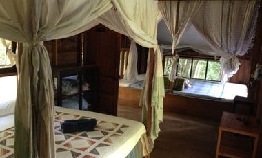 Jungle Hideaway Home For Sale