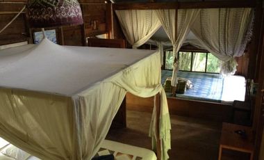 Jungle Hideaway Home For Sale