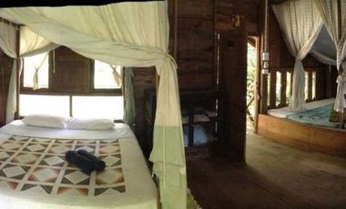Jungle Hideaway Home For Sale