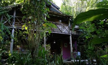 Jungle Hideaway Home For Sale