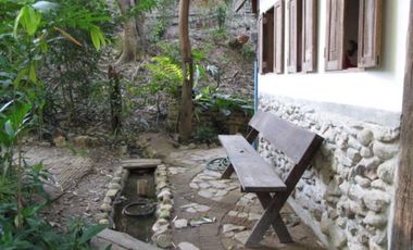 Jungle Hideaway Home For Sale