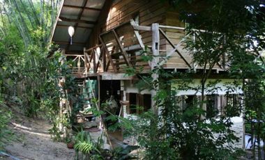 Jungle Hideaway Home For Sale