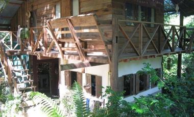 Jungle Hideaway Home For Sale