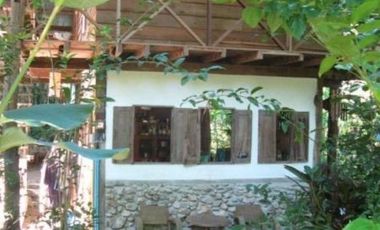 Jungle Hideaway Home For Sale