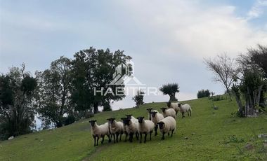 Casa en Venta en sector Tapihue