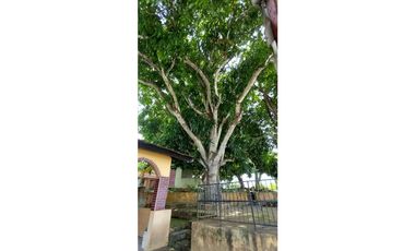 Se Vende Residencia para Remodelar en San Carlos