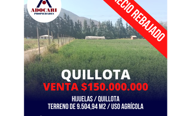 ¡PRECIO REBAJADO! QUILLOTA / HIJUELAS / PARCELA 9.500 M2
