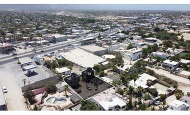 Biznaga, San José Del Cabo