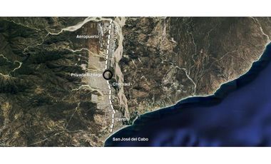 Biznaga, San José Del Cabo