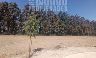 Sitio en Venta en Liray