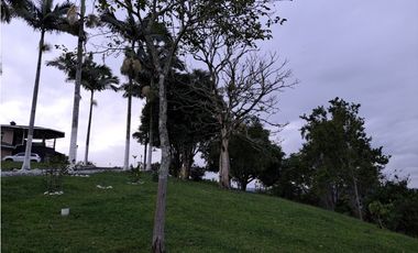 EN VENTA HERMOSA FINCA CAMPETRE ALTAGRACIA