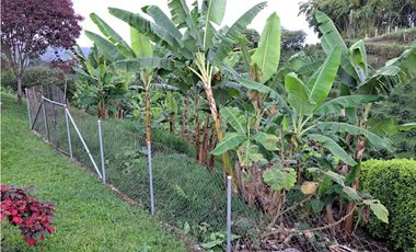 EN VENTA HERMOSA FINCA CAMPETRE ALTAGRACIA
