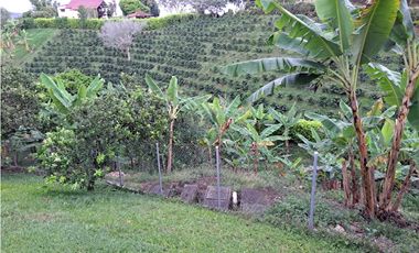 EN VENTA HERMOSA FINCA CAMPETRE ALTAGRACIA