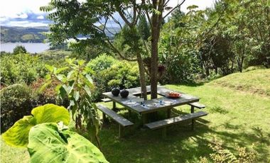 VENDO DOS HERMOSAS CASAS QUE COLINDAN CON RESERVA FORESTAL DEL SISGA
