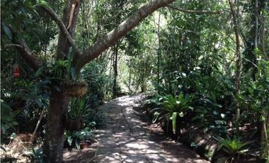 VENDO DOS HERMOSAS CASAS QUE COLINDAN CON RESERVA FORESTAL DEL SISGA