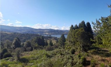 VENDO DOS HERMOSAS CASAS QUE COLINDAN CON RESERVA FORESTAL DEL SISGA