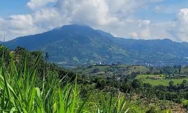 finca en venta en altagracia. Cod V20581