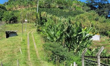 finca en venta en altagracia. Cod V20581
