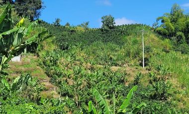 finca en venta en altagracia. Cod V20581