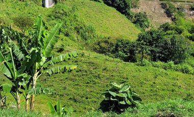 finca en venta en altagracia. Cod V20581
