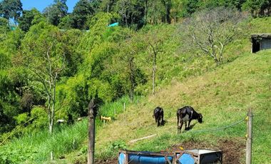 finca en venta en altagracia. Cod V20581