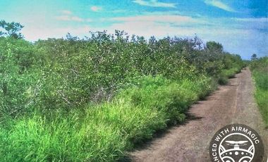 Invierta en su Paraíso Soñado | Terrenos en Playa Mazatlán en Autopista Mazatlán Culiacán