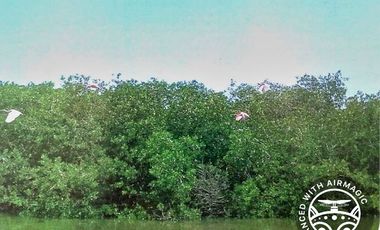 Invierta en su Paraíso Soñado | Terrenos en Playa Mazatlán en Autopista Mazatlán Culiacán