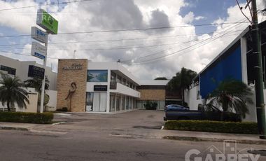 Edificio Comercial - Fraccionamiento Vista Alegre Norte