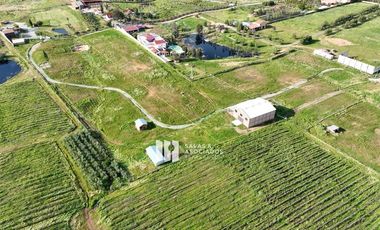9785 M2 DE TERRENO CON 300 M2 DE BODEGA EN VALLE DE GUADALUPE