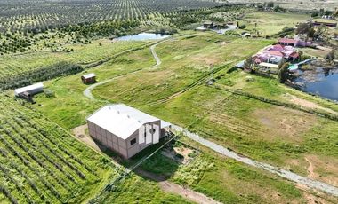 9785 M2 DE TERRENO CON 300 M2 DE BODEGA EN VALLE DE GUADALUPE
