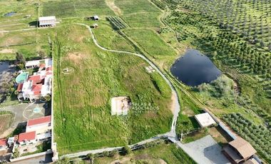 9785 M2 DE TERRENO CON 300 M2 DE BODEGA EN VALLE DE GUADALUPE
