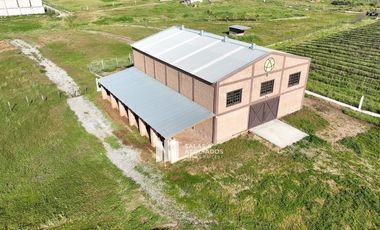 9785 M2 DE TERRENO CON 300 M2 DE BODEGA EN VALLE DE GUADALUPE