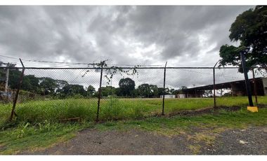 SE ALQUILA O SE VENDE TERRENO EN  PEDREGAL