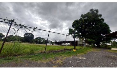 SE ALQUILA O SE VENDE TERRENO EN  PEDREGAL
