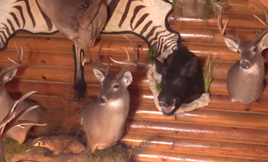 QUINTA CAMPESTRE EN VENTA EN  MINA, N.L.