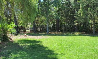 QUINTA CON PILETA EN VENTA - EXALTACI&Oacute;N DE LA CRUZ