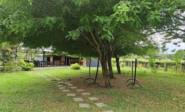 finca en arriendo en ginebra. Cod A7281869