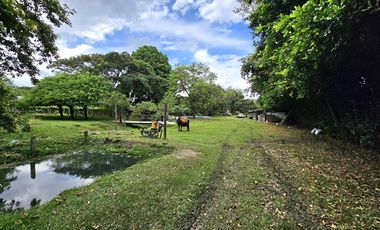 finca en arriendo en ginebra. Cod A7281869