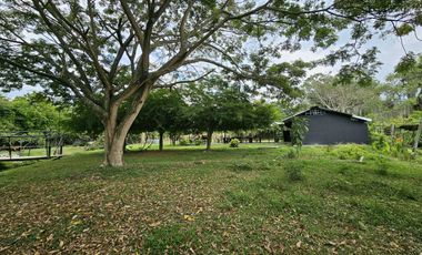 finca en arriendo en ginebra. Cod A7281869