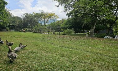 finca en arriendo en ginebra. Cod A7281869