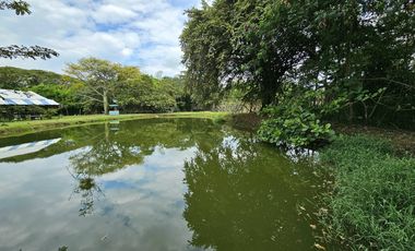 finca en arriendo en ginebra. Cod A7281869