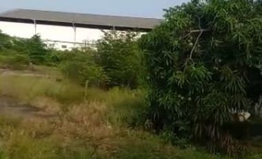 Disewakan Tanah Kosong Jalan Teuku Umar Karwaci Tangerang Pinggir Jalan Raya Siap Bangun