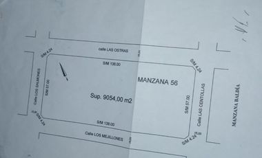 LOTE MANZANA EN PLAYA DE LOS LOBOS 9000 M2 OPORTUNIDAD